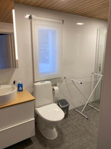 a bathroom with a toilet and a sink and a shower at Villa Muikkupolku in Kokkola