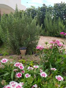 Vonkajšia záhrada v ubytovaní Rosemary Rhodes Villa