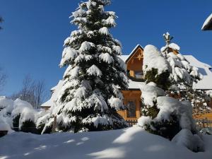 a snow covered christmas tree in front of a house at Domek Góralski Limba 1 in Kościelisko