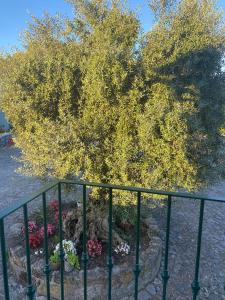 Photo de la galerie de l'établissement Casal da Batoca Nature House, à Fafe