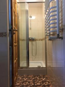 La salle de bains est pourvue d'une douche avec une porte en verre. dans l'établissement Agroturystyka Niezapominajka, à Kosewo