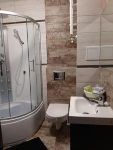łazienka z prysznicem, toaletą i umywalką w obiekcie Apartamet 45 w mieście Płock