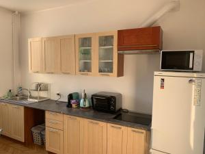 White Apartment House في بييلسكو بياوا: مطبخ بدولاب خشبي وثلاجة بيضاء