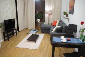 a living room with a couch and a tv at Wilanów Apartment close to Town Hall and Palace in Warsaw