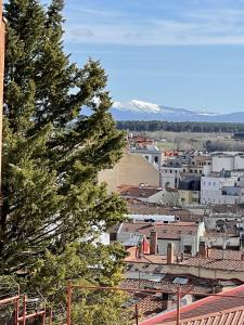 a view of a city with a tree at El Arco San Esteban by Unique Rooms in Burgos