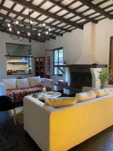 Don Aniceto - Suites de Campo في لوجان: غرفة معيشة مع أريكة ومدفأة
