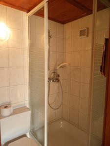 y baño con ducha y aseo. en Alpenhaus Waldberg, en Schruns