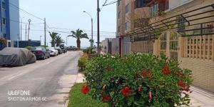 una calle con flores rojas al lado de un edificio en La Belle Vue, en Lima