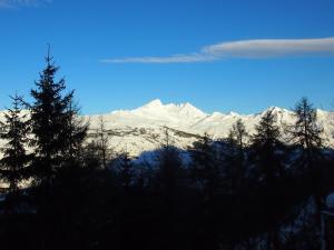 una montaña cubierta de nieve con árboles en el primer plano en Charming chalet with view on Mont Blanc en Peisey-Nancroix