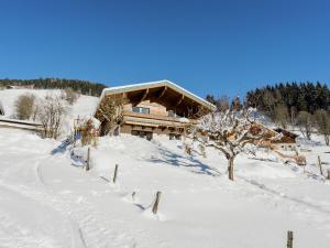 Apartment in Viehhofen near Ski Lifts v zime