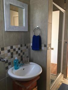 uma casa de banho com um lavatório e um espelho em Gansbaai Self-Catering Apartment em Gansbaai