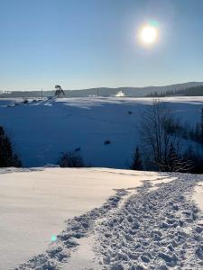 Foto dalla galleria di Willa Widokowa a Bukowina Tatrzańska