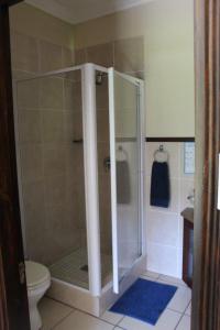 a bathroom with a shower and a toilet at 7 Topanga in Uvongo Beach
