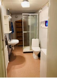a bathroom with a shower and a toilet and a sink at Setons Stuga in Lindesberg