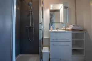 La salle de bains est pourvue d'une douche, d'un lavabo et d'un miroir. dans l'établissement au-dessus du jardin appartement climatisé, à Eckbolsheim