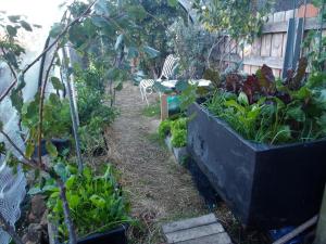 Gallery image of Cosy Apartment accommodation in Hobart, New Town. in New Town