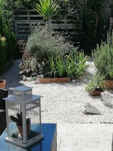 a garden with a bird feeder and plants at B & B Eliana e Ristorante in Florence