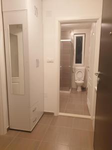 a bathroom with a toilet and a walk in shower at Apartman Dunjica in Pale
