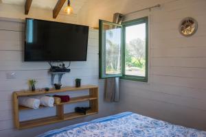 普罗旺斯山谷山林小屋的电视和/或娱乐中心