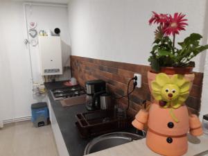 um balcão de cozinha com um vaso com uma planta nele em Sweet Home em Buzau