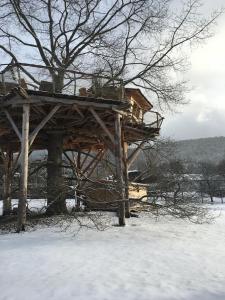 um edifício de madeira na neve com uma árvore em Gaïa - Les Cabanes du Chêne Rouvre em Saint-Dié-des-Vosges