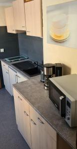 eine Küche mit einer Arbeitsplatte und einer Mikrowelle in der Unterkunft Ferienwohnung Alte Brennerei in Brösa