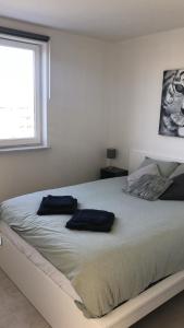 een slaapkamer met een groot bed met 2 kussens erop bij Gezellig 1 slaapkamer appartement nabij het stadscentrum in Hasselt