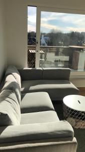 un gruppo di divani in una stanza con finestra di Gezellig 1 slaapkamer appartement nabij het stadscentrum a Hasselt