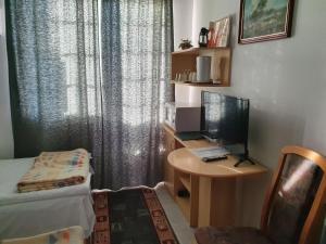 TV a/nebo společenská místnost v ubytování Gála Panzió