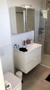 een badkamer met een wastafel, een toilet en een spiegel bij Gezellig 1 slaapkamer appartement nabij het stadscentrum in Hasselt