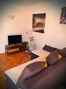 a living room with a couch and a flat screen tv at Holiday Home Bella Vita in Gornji Mihaljevec