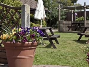 a pot of flowers in front of a picnic table and an umbrella at Marsham Arms Inn in Hevingham