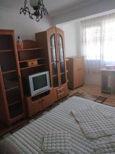 A television and/or entertainment centre at Апартамент Алекс