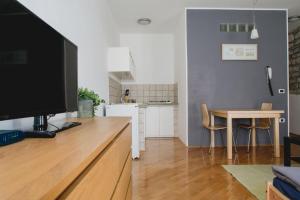 Virtuvė arba virtuvėlė apgyvendinimo įstaigoje Apartments Artemus Music