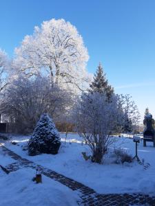a garden covered in snow with a tree and trees at Pension Sonnenblick in Brüel