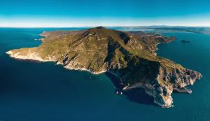 an island in the middle of the water at Hotel Alfiero in Porto Santo Stefano +3 photos