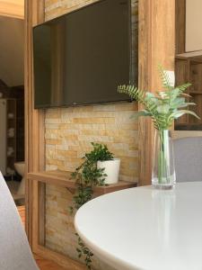 eine Vase mit einer Pflanze auf einem weißen Tisch in der Unterkunft VIP House 1 in Vrnjačka Banja