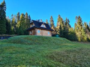 a small house on top of a grassy hill at Alpinka in Bukowina Tatrzańska