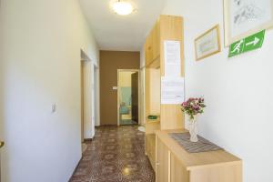 Fotografie z fotogalerie ubytování Apartment Josipa 4209 v destinaci Selce