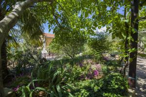 Ein Garten an der Unterkunft Apartment Vili