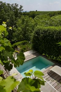 a small swimming pool in the middle of a garden at Pianaura Suites in Marano di Valpolicella