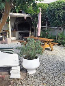 Zahrada ubytování Keedols Inn & Backpackers