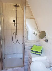 a bathroom with a shower and a toilet and a sink at Harzer Finnhütte in Elbingerode +19 photos