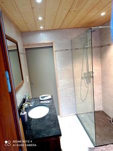 ein Badezimmer mit Waschbecken und Dusche in der Unterkunft Chalet 8 personnes, face aux montagnes in La Plagne Tarentaise