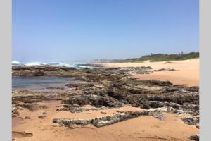 a beach with some seaweed on the sand and the ocean at Coral Cottage in Port Shepstone