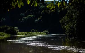 a river with trees on the side of it at Parva Farmhouse Riverside Guesthouse in Tintern