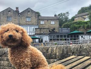 Gallery image of Millstone Country Inn in Hathersage +43 photos