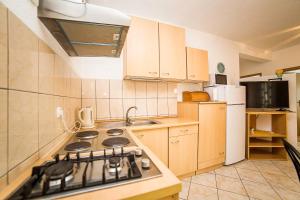 Kuchyň nebo kuchyňský kout v ubytování Apartments Bakula 1539