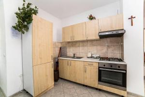 Kuchyň nebo kuchyňský kout v ubytování Apartments Bakula 1539