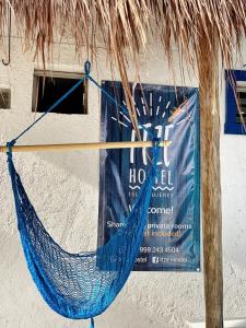 Foto da galeria de Itzé Hostel em Isla Mujeres